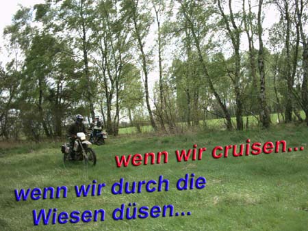 IMAGE0054