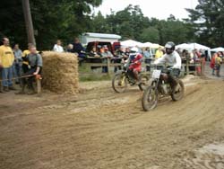 IMAGE0091
