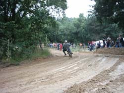 IMAGE0099